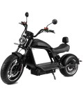 E-Chopper HL 5.0
